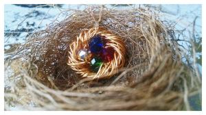 Birds Nest 7